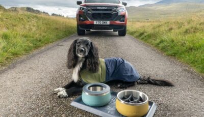 「いすゞD-Max×Ruffwearコレクション」