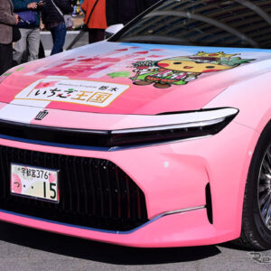 3代目『いちごクラウン』